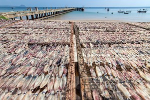 SECHAGE DES POISSONS AU SOLEIL, VILLAGE DE PECHEURS SPECIALISES DANS LA PECHE AUX CALAMARS, THAM THONG, PROVINCE DE CHUMPHON, THAILANDE, ASIE 