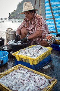 PREPARATION ET NETTOYAGE DES POISSONS AVANT DE LES FAIRE SECHER AU SOLEIL, VILLAGE DE PECHEURS SPECIALISES DANS LA PECHE AUX CALAMARS, THAM THONG, PROVINCE DE CHUMPHON, THAILANDE, ASIE 