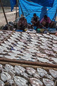 PREPARATION ET NETTOYAGE DES POISSONS POUR LES FAIRE SECHER AU SOLEIL, VILLAGE DE PECHEURS SPECIALISES DANS LA PECHE AUX CALAMARS, THAM THONG, PROVINCE DE CHUMPHON, THAILANDE, ASIE 