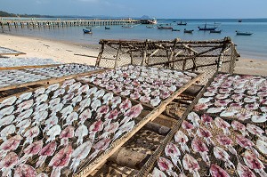 SECHAGE DES POISSONS AU SOLEIL, VILLAGE DE PECHEURS SPECIALISES DANS LA PECHE AUX CALAMARS, THAM THONG, PROVINCE DE CHUMPHON, THAILANDE, ASIE 