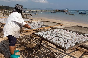 FEMME QUI ETALE LES POISSONS POUR LES FAIRE SECHER AU SOLEIL, VILLAGE DE PECHEURS SPECIALISES DANS LA PECHE AUX CALAMARS, THAM THONG, PROVINCE DE CHUMPHON, THAILANDE, ASIE 
