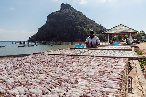 FEMME QUI ETALE LES POISSONS POUR LES FAIRE SECHER AU SOLEIL, VILLAGE DE PECHEURS SPECIALISES DANS LA PECHE AUX CALAMARS, THAM THONG, PROVINCE DE CHUMPHON, THAILANDE, ASIE 