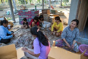 TRAVAIL DES FEMMES AU TRI DES CALAMARS SECHES, BANG SAPHAN, THAILANDE, ASIE 