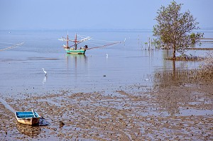 PAYSAGE DE BORD DE MER A MAREE BASSE, BANG SAPHAN, THAILANDE, ASIE 