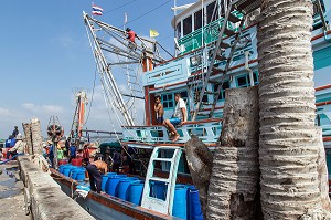 DECHARGEMENT DU POISSONS AU RETOUR DES BATEAUX, PORT DE PECHE, BANG SAPHAN, THAILANDE, ASIE 