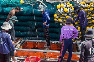 DECHARGEMENT DU POISSONS AU RETOUR DES BATEAUX, PORT DE PECHE, BANG SAPHAN, THAILANDE, ASIE 