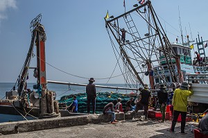 DECHARGEMENT DU POISSONS AU RETOUR DES BATEAUX, PORT DE PECHE, BANG SAPHAN, THAILANDE, ASIE 