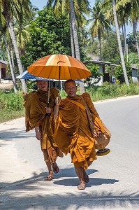 MOINES BOUDDHISTES PROTEGES DU SOLEIL PAR LEURS OMBRELLES, BANG SAPHAN, THAILANDE, ASIE 