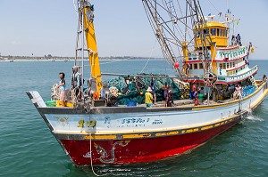 ARRIVEE DES BATEAUX DE PECHE SUR LE PORT DE BANG SAPHAN, THAILANDE, ASIE 