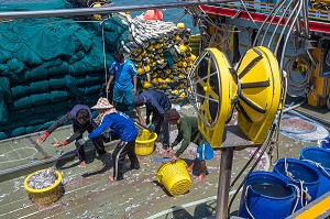 DECHARGEMENT DU POISSON SUR LES BATEAUX DE PECHE, PORT DE BANG SAPHAN, THAILANDE, ASIE 