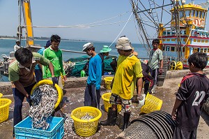 DECHARGEMENT DU POISSON SUR LES BATEAUX DE PECHE, PORT DE BANG SAPHAN, THAILANDE, ASIE 