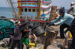 DECHARGEMENT DU POISSON SUR LES BATEAUX DE PECHE, PORT DE BANG SAPHAN, THAILANDE, ASIE 