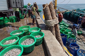 DECHARGEMENT DU POISSON SUR LES BATEAUX DE PECHE, PORT DE BANG SAPHAN, THAILANDE, ASIE 