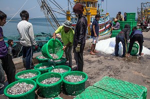 DECHARGEMENT DU POISSON SUR LES BATEAUX DE PECHE, PORT DE BANG SAPHAN, THAILANDE, ASIE 