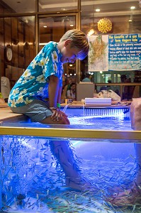 JEUNE ENFANT LES PIEDS DANS UN AQUARIUM AVEC DES POISSONS NETTOYEURS DE PEAUX MORTES (FISH PEDICURE), ASIATIQUE THE RIVERFRONT, BANGKOK, THAILANDE, ASIE 