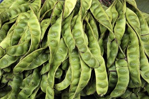 ETALAGE DE HARICOTS VRILLES, THAILANDE, ASIE 