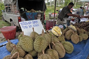 VENTE DE DURIANS, FRUITS TROPICAUX A L'ODEUR TRES PUISSANTE, MARCHE DE BAN SAPHAN, THAILANDE, ASIE 