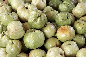 ETALAGE DE GOYAVES, FRUITS TROPICAUX, THAILANDE, ASIE 