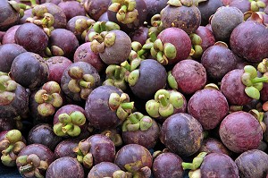 ETALAGE DE MANGOUSTANS, FRUITS TROPICAUX, THAILANDE, ASIE 