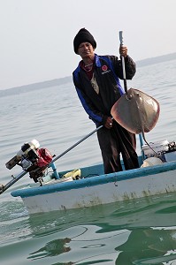 PECHEUR TENANT UNE RAIE, PECHE EN MER, REGION DE BAN SAPHAN, THAILANDE, ASIE 