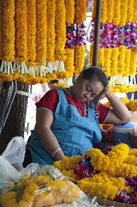 VENTE D'ORCHIDEES, FLEURS TROPICALES, SUR LE MARCHE AUX FLEURS DE PAK KHLONG TALAT, BANGKOK, THAILANDE, ASIE 