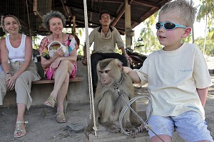 TOURISTES PRES D'UN SINGE, RECOLTE DES NOIX DE COCO, BANG SAPHAN, THAILANDE 