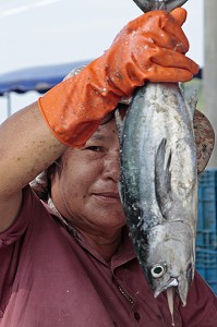 FEMME AVEC UNE BONITE (PETIT THON) DANS LA MAIN, CRIEE AUX POISSONS, PORT DE PECHE DE BANG SAPHAN, THAILANDE, ASIE 