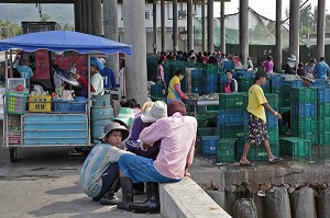 LA CRIEE AUX POISSONS, PORT DE PECHE DE BANG SAPHAN, THAILANDE, ASIE 