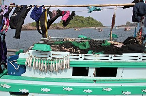 SECHAGE DES POISSONS SUR UN BATEAU, PORT DE PECHE DE BANG SAPHAN, THAILANDE, ASIE 