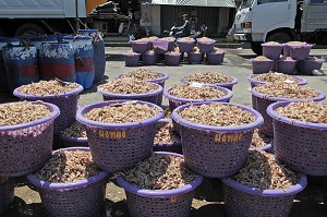 CREVETTES ROSES CUITES, ARRIVAGE A LA CRIEE AUX POISSONS, PORT DE PECHE DE RANONG, THAILANDE, ASIE 