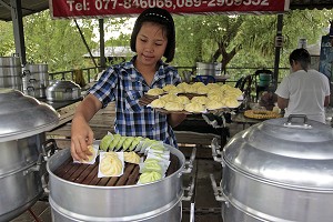 VILLAGE SPECIALISTE DES RAVIOLIS CUITS A LA VAPEUR, REGION DE RANONG, THAILANDE 