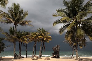 COCOTIERS SOUS UN CIEL ORAGEUX, PLAGE DE BAN KRUT, BANG SAPHAN, THAILANDE, ASIE 