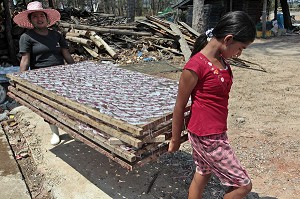 SECHAGE DES ENCORNETS SUR DES TREILLES, VILLAGE DE PECHEURS PRES DE BANG SAPHAN, THAILANDE, ASIE 