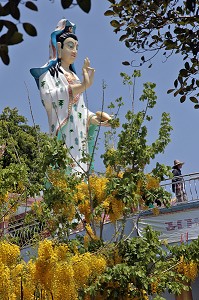 STATUE MONUMENTALE DE LA DEESSE CHINOISE GUAN YIN AU DESSUS DES FLEURS JAUNES DE CYTISES (GOLDEN SHOWER TREE), TEMPLE BOUDDHIQUE DE WAT KAEW PRA SERT, CHUMPHON, THAILANDE, ASIE 