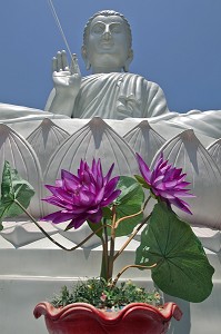 BOUDDHA ASSIS SUR UNE FLEUR DE LOTUS, TEMPLE BOUDDHIQUE DE WAT KAEW PRA SERT (DEESSE CHINOISE), CHUMPHON, THAILANDE, ASIE 