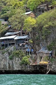 VILLAGE ACCROCHE AUX FALAISES, LES HABITANTS RECOLTENT DES NIDS D'HIRONDELLES, ILE DE KHO RANG NOK, AU LARGE DE BANG SAPHAN, THAILANDE, ASIE 