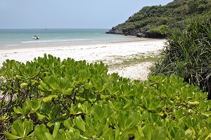 VEGETATION LUXURIANTE ET PLAGE DESERTE DE AOW TA MUANG (BAIE DE TA MUANG), REGION DE BANG SAPHAN, THAILANDE, ASIE 