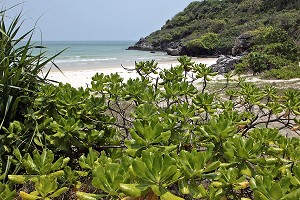 PLAGE DESERTE, BAIE DE TA MUANG, REGION DE BANG SAPHAN, THAILANDE 