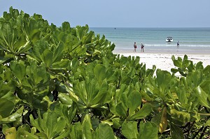 DEBARQUEMENT DE TOURISTES SUR LA PLAGE DESERTE DE AOW TA MUANG (BAIE DE TA MUANG), REGION DE BANG SAPHAN, THAILANDE, ASIE 