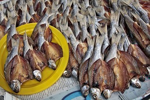 ETALAGE DE POISSONS SECHES, MARCHE DE BANG SAPHAN, THAILANDE, ASIE 