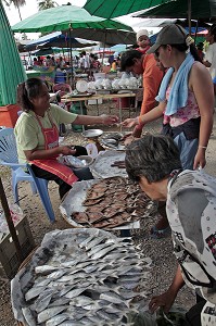 VENDEUSE DE POISSONS FRAIS ET SECHES, MARCHE DE BANG SAPHAN, THAILANDE, ASIE 