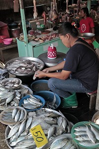 VENDEUSE DE POISSONS FRAIS, MARCHE DE BANG SAPHAN, THAILANDE, ASIE 