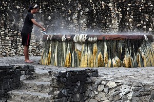 FEMME ET SON LINGE, PISCINE D'EAU CHAUDE A 65 DEGRES, SOURCES THERMALES DE RANONG, THAILANDE, ASIE 