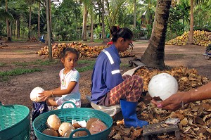 ENTREE DE LA COCOTERAIE, PROVINCE DE BANG SAPHAN, THAILANDE 