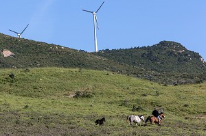 CAVALIER AVEC SES CHEVAUX DEVANT DES EOLIENNES, A FLANC DE MONTAGNE, REGION DE FOCA, RIVIERA DES OLIVIERS, NORD D’IZMIR, TURQUIE 