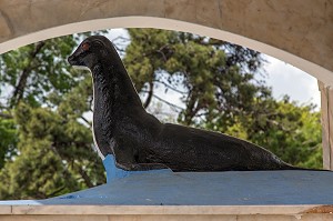 STATUE DE PHOQUES MOINES DEVENUS LE NOUVEAU SYMBOLE DU VILLAGE DE PECHEURS DE FOCA SUR LA MER EGEE, RIVIERA DES OLIVIERS, NORD D’IZMIR, TURQUIE 