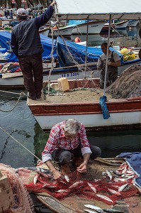 RETOUR DE LA PECHE AVEC LES POISSONS DANS LES FILETS, PORT DU VILLAGE DE PECHEURS DE FOCA SUR LA MER EGEE, RIVIERA DES OLIVIERS, NORD D’IZMIR, TURQUIE 