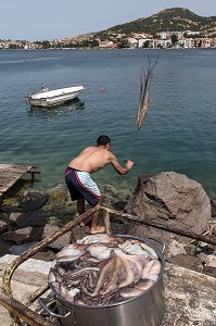 PECHEUR DE RETOUR DE LA PECHE EN TRAIN DE BATTRE DES POULPES, SORTE DE PIEUVRE, PORT DE FOCA SUR LA MER EGEE,  RIVIERA DES OLIVIERS, NORD D’IZMIR, TURQUIE 