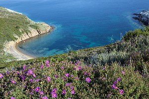 COTE DECOUPEE DE LA MONTAGNE DANS LA MER EGEE, REGION DE FOCA, RIVIERA DES OLIVIERS, NORD D’IZMIR, TURQUIE 