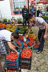 ETALAGE DE FRUITS ET FRAISES, MARCHE ALIMENTAIRE DE NAMIK KEMAL, CUNDA ALIBEY, RIVIERA DES OLIVIERS, NORD D’IZMIR, TURQUIE 